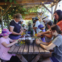 Participants gathered around outdoor tables making natural dyes during a hands-on workshop.