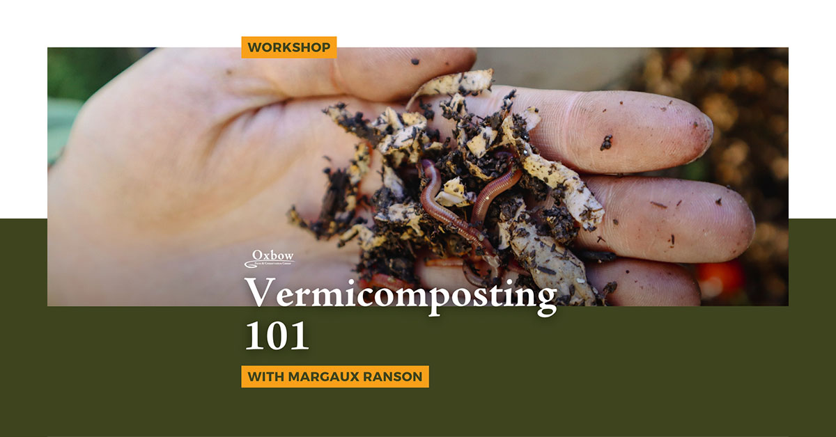 Close-up of worms and compost in a hand during a vermicomposting workshop.