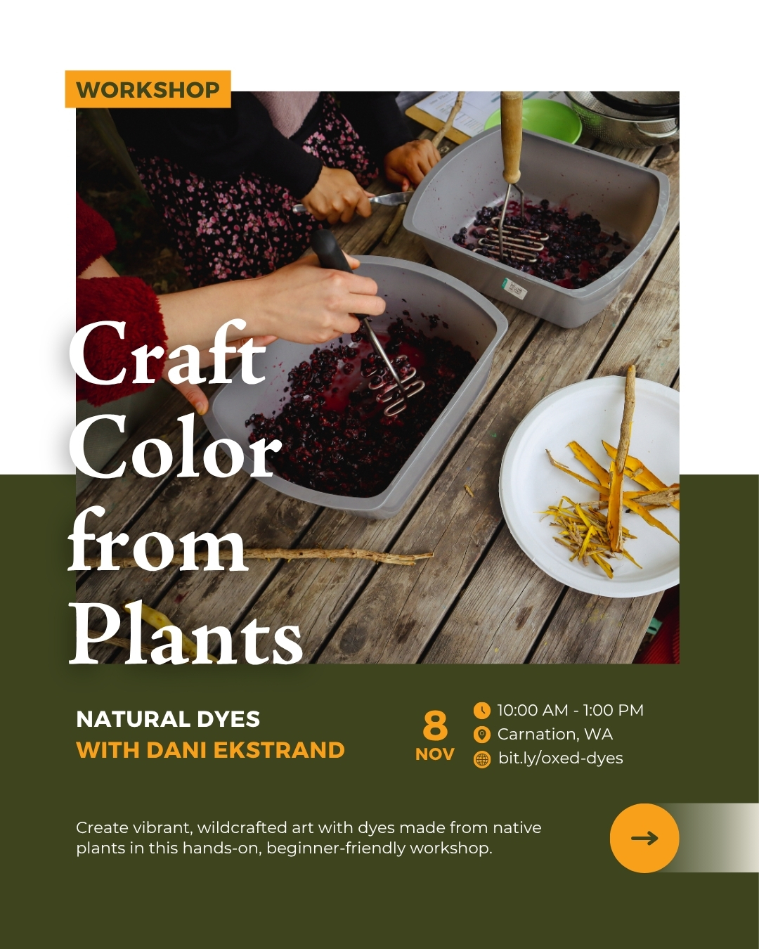 Hands mashing berries in trays to make natural dyes, surrounded by plant materials and tools on a wooden table.