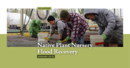 Volunteers clean and sanitize Oxbow’s Native Plant Nursery after historic Snoqualmie Valley flooding, removing debris and preparing growing spaces for replanting.
