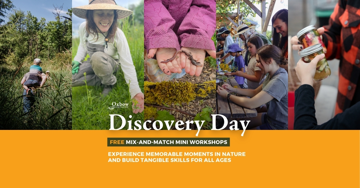 Discovery Day at Oxbow Farm with hands-on workshops including nature exploration, worm learning, and food preservation