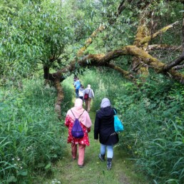 Visitors walking along a forest trail during a guided native plant hike at Oxbow.
