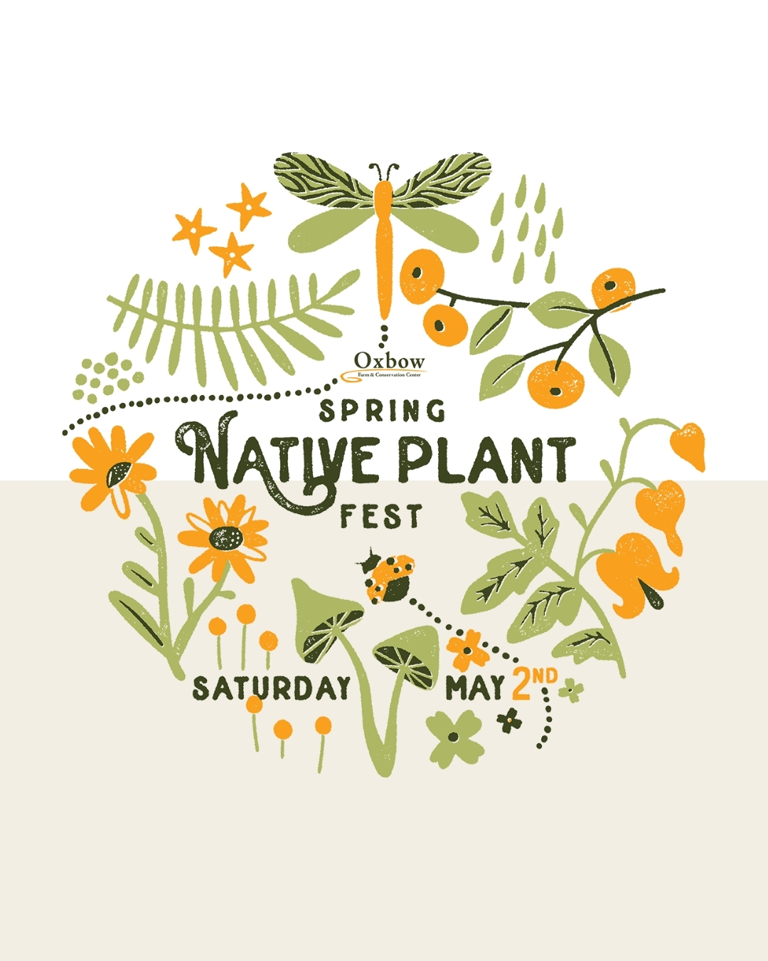 Illustrated poster for Oxbow’s Spring Native Plant Fest featuring native flowers, berries, a dragonfly, and pollinators with event date Saturday May 2.