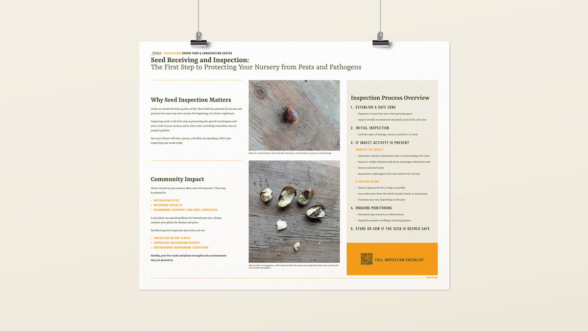 Native plant nursery seed receiving and inspection poster showing steps to detect pests and pathogens in incoming seed collections.