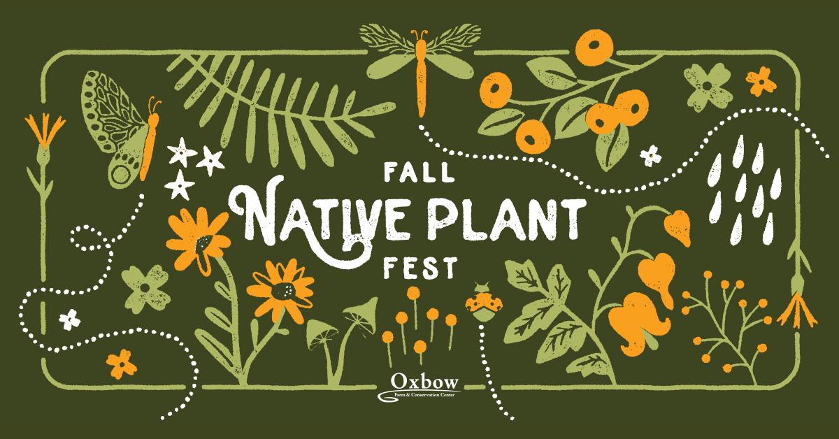 Illustrated Fall Native Plant Fest banner with seasonal native flora and fauna, including oak leaves, acorns, snow berries, mushrooms, and a garden spider.