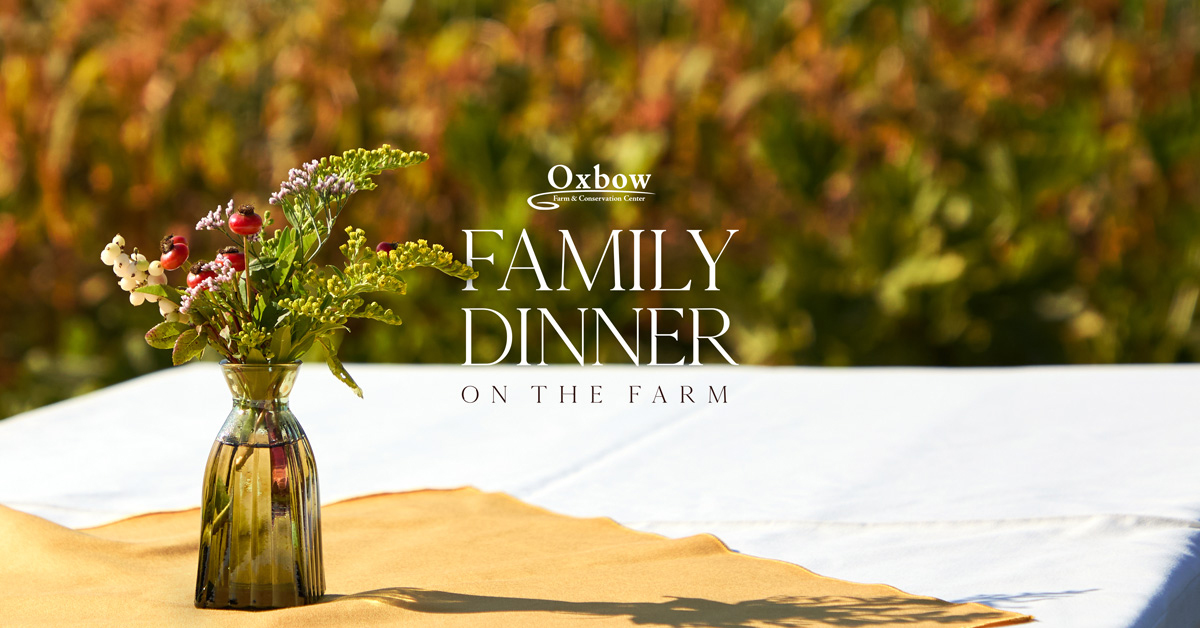 Glass vase with wildflowers on a sunlit farm table, with “Family Dinner on the Farm” text overlay and a blurred field in the background.