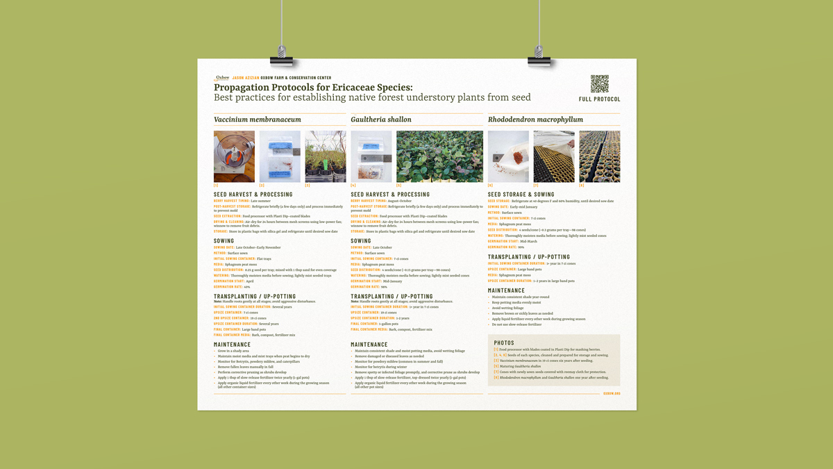 Propagation protocol poster for native Ericaceae species including huckleberry, salal, and rhododendron used in Pacific Northwest restoration.