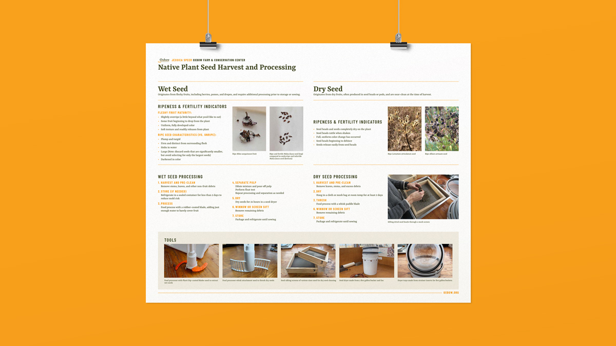 Native plant seed harvest and processing poster explaining wet seed and dry seed collection and cleaning methods.