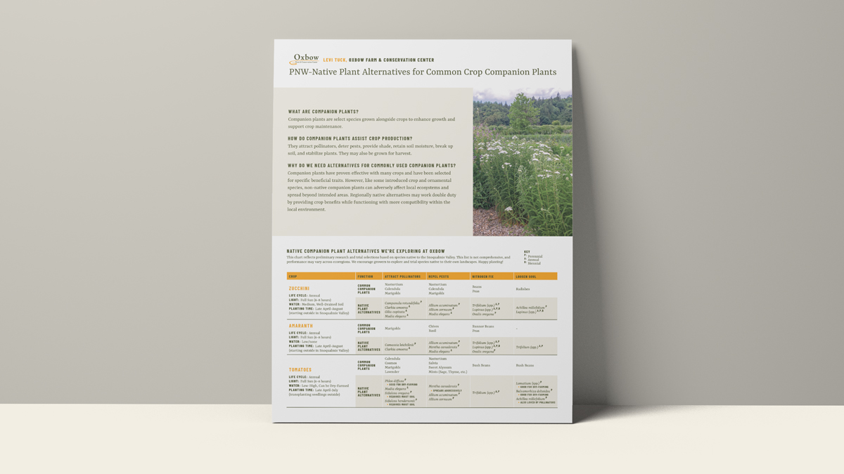 Handout showing Pacific Northwest native plant alternatives to common crop companion plants for pollinators and ecological farming.