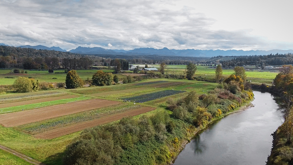 Aerial view of farmland and fields along the Snoqualmie River at Oxbow, with forested hills and Cascade Mountains in the background
