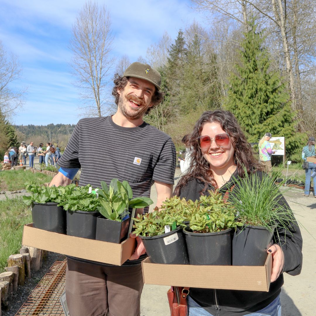 Two visitors smiling and carrying trays of native plants during the Oxbow Spring Native Plant Festival.