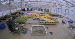 Floodwater surrounding grow tables and plant trays inside the Oxbow Native Plant Nursery during the December 2025 flood in Western Washington.