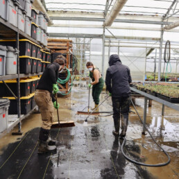 Staff washing mud from greenhouse floors after flooding at Oxbow Native Plant Nursery.
