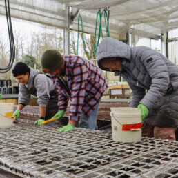 Staff cleaning and sanitizing nursery tables after flood