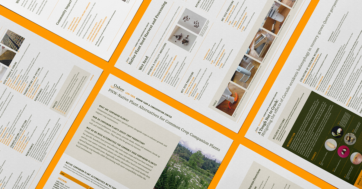 Collection of Oxbow native plant nursery research posters from the Washington Botanical Symposium displayed on an orange background.