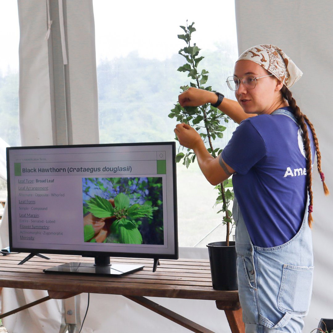 Lea Dyga teaches Pacific Northwest native plant identification.