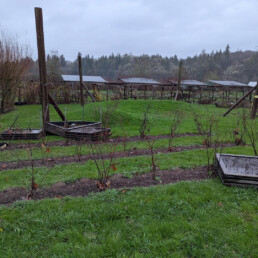 Raised planting beds moved out of place by floodwaters on farm