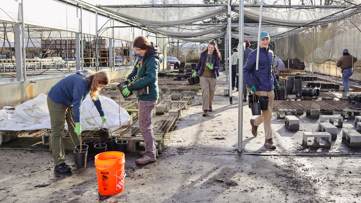 Volunteers cleaning and organizing native plant nursery after flood damage at Oxbow
