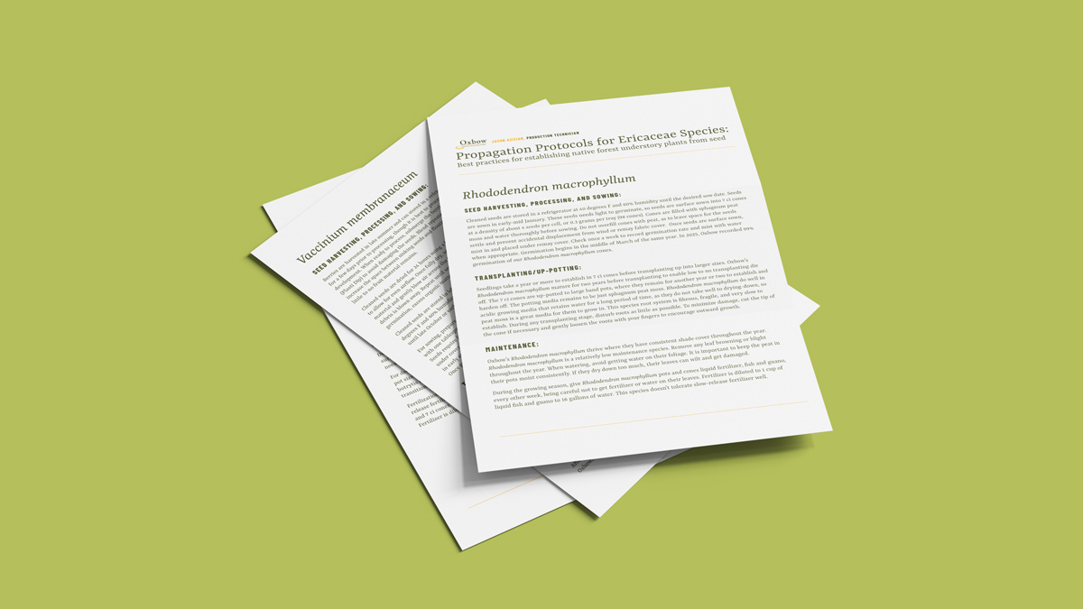 Printed propagation protocols for native Ericaceae species from Oxbow Farm, including guidance for propagating rhododendron and huckleberry from seed.