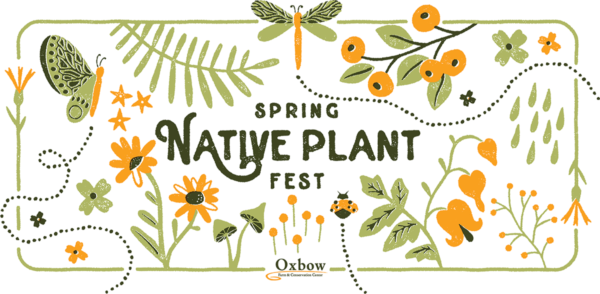 Illustrated banner for Oxbow’s Spring Native Plant Fest featuring native flowers, berries, a dragonfly, and pollinators with event date Saturday May 2.