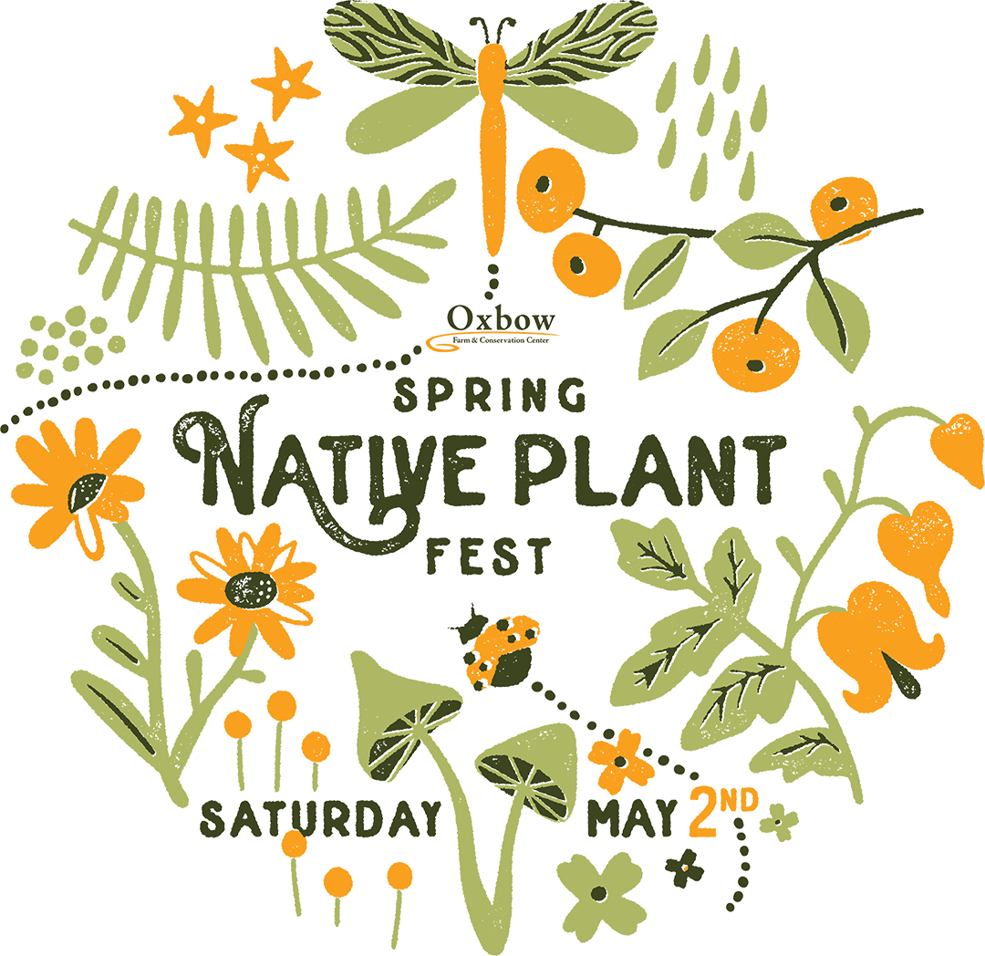 Illustrated poster for Oxbow’s Spring Native Plant Fest featuring native flowers, berries, a dragonfly, and pollinators with event date Saturday May 2.