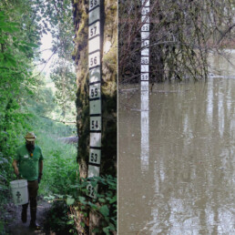 Diptych showing Oxbow Lake level marker during normal conditions and during high floodwater in Snoqualmie Valley.