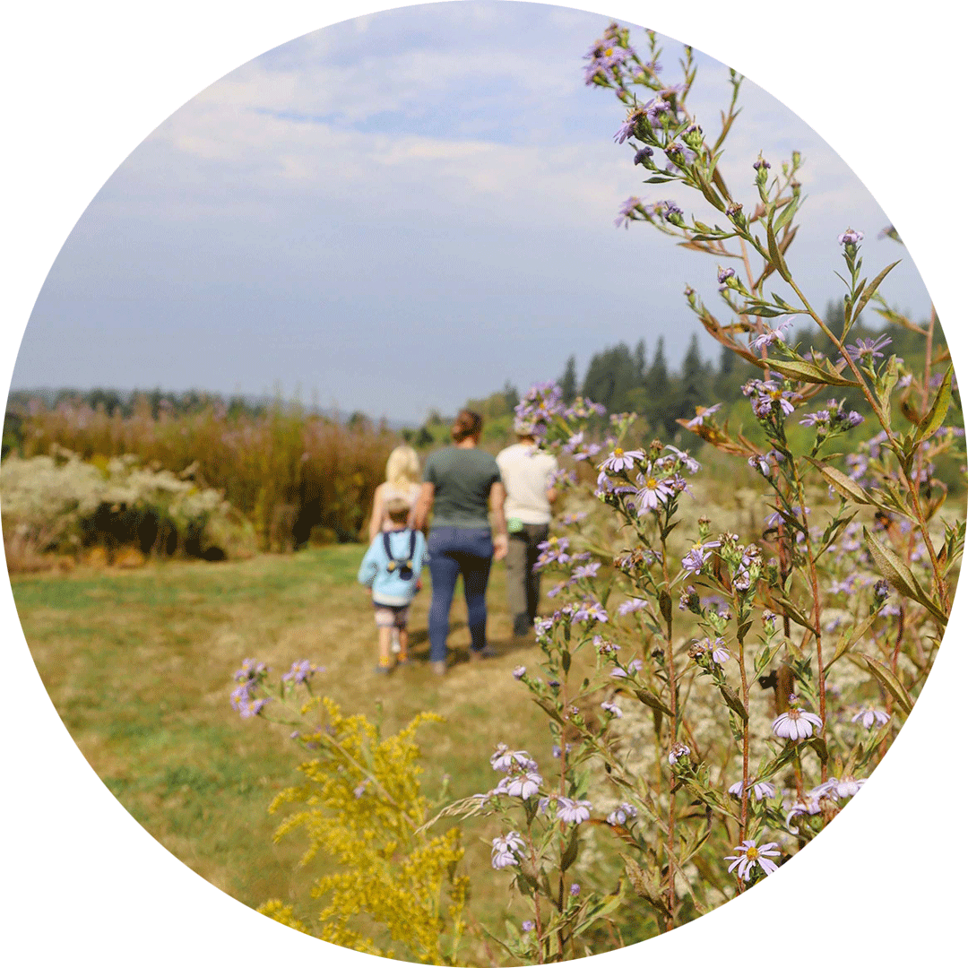 A family walks through native wildflowers at Oxbow's Fall Native Plant Festival in the Snoqualmie Valley.