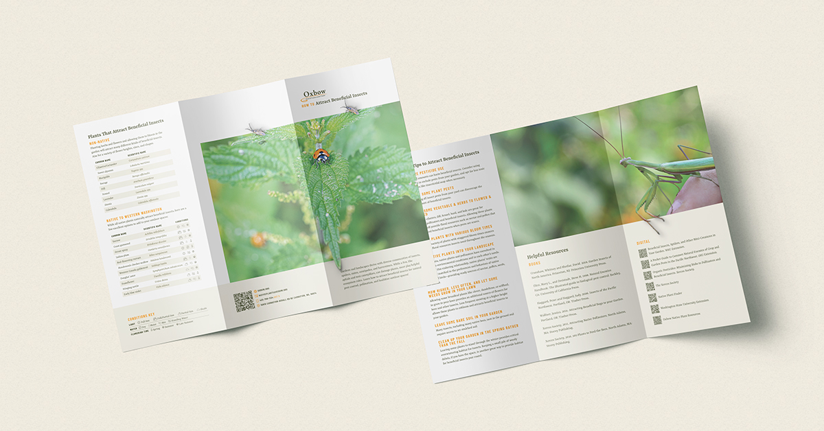 Mockup of Oxbow’s downloadable “How to Attract Beneficial Insects” trifold guide featuring photos of beneficial insects and garden tips.